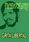 Grita Libertad - Cry freedom (1987)